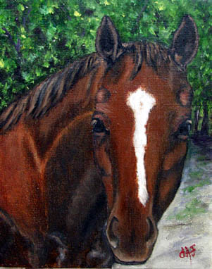 Fine Art Pet Portrait by Artist Donna Aldrich-Fontaine - Horse Cooper.jpg